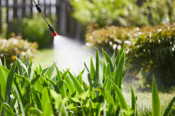 24/7 Emergency Mosquito Control experts in Wolcott, IN