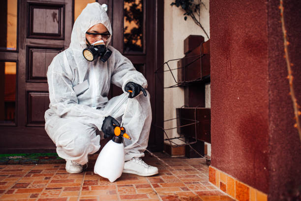 Reliable Mosquito Control contractor in Wolcott, IN by Show Me Pest Control